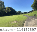高爾夫球場綠地在陽光明媚的日子 114152397