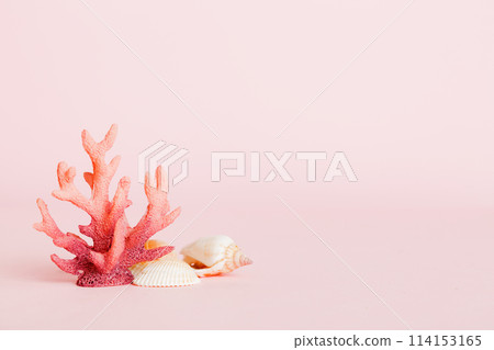 Summer time concept with sea shells or starfish on a table background with copy space for text 114153165