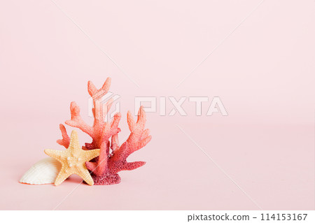 Summer time concept with sea shells or starfish on a table background with copy space for text 114153167