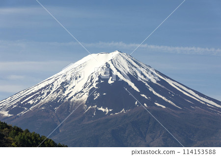 Farm chickens of Mt. Fuji 114153588