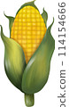 fresh corn 114154666