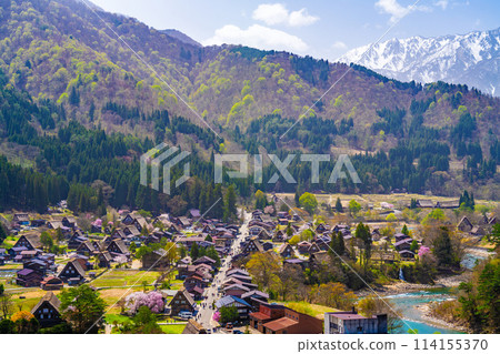 Spring Shirakawa Town Spring Shirakawa Town 114155370