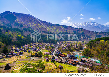 春川白川鎮 114155526