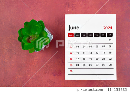 Calendar page for June 2024 and houseplant on retro background. Calendar page for June 2024 and houseplant on retro background. 114155883
