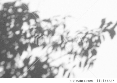 Natural shadow overlay on white colored grunge wall concrete texture background. Natural shadow overlay on white colored grunge wall concrete texture background. 114155887