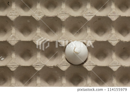 Single broken egg on empty cardboard 114155979