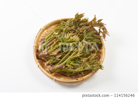 Wild vegetable taros on a white background 114156246