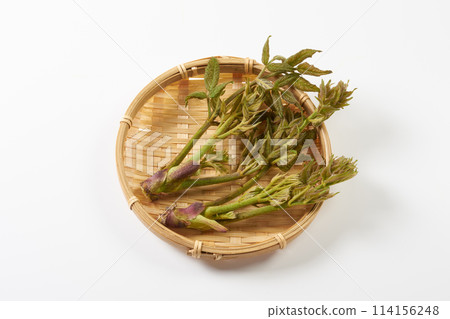 野生蔬菜鱈魚芽白色背景 野生蔬菜鱈魚芽白色背景 114156248