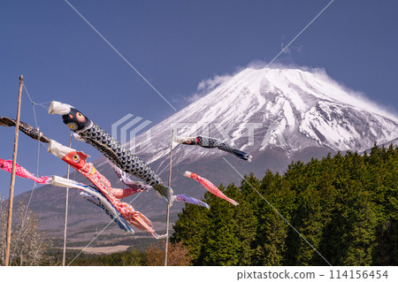 [靜岡縣]富士山與鯉魚旗/兒童節 114156454