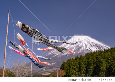 <Shizuoka Prefecture> Mt. Fuji and carp streamers - Children's Day 114156457