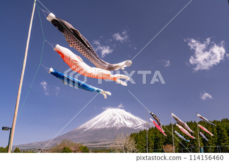 [靜岡縣]富士山與鯉魚旗/兒童節 114156460