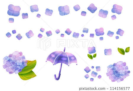 Hydrangea with sunlight filtering through the trees - Parts set 114156577