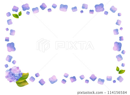 Hydrangea frame illuminated by sunlight filtering through the trees 114156584