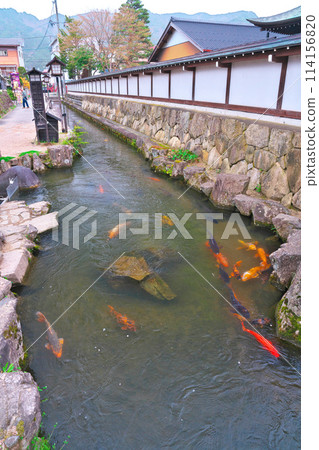 飛騨古川、瀨戶川鯉魚和白牆倉庫街 114156820