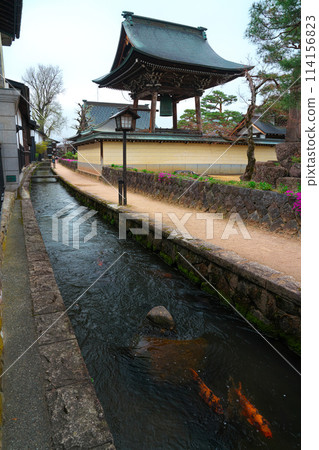 Hida Furukawa, Seto River carp and white-walled storehouse street Hida Furukawa, Seto River carp and white-walled storehouse street 114156823