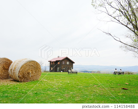 Scenery of Biei Hokkaido Scenery of Biei Hokkaido 114158488
