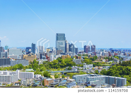 青葉城遺址和伊達政宗騎馬像 青葉城遺址和伊達政宗騎馬像 114159708