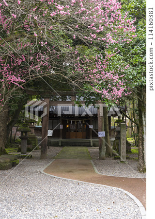 [縱向照片] 金澤金穀神社 114160381