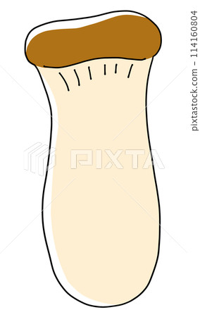 鬆散簡單的杏鮑菇固體塗層 114160804