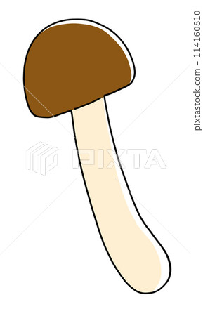 寬鬆簡單的分色固體塗層 寬鬆簡單的分色固體塗層 114160810