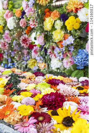 花水 花水 114160817