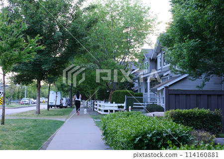 Green yard near the house. High quality photo 114160881