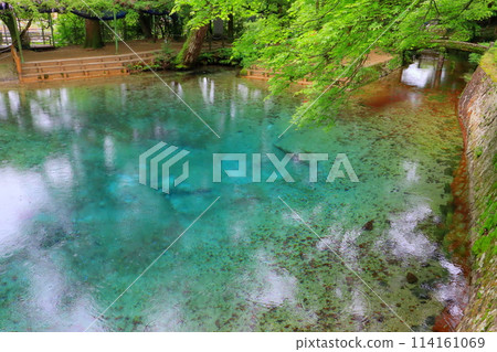 Beppu Benten Pond (Bei City, Yamaguchi Prefecture) 114161069