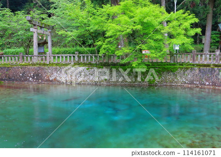 Beppu Benten Pond (Bei City, Yamaguchi Prefecture) 114161071