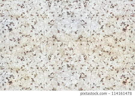Old Terrazzo texture seamless with black and white stones, horizontal view. 114161478