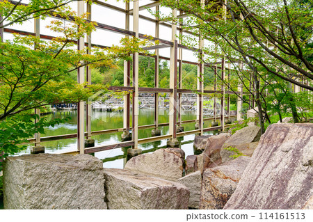 [Kyoto Prefecture] Keihanna Memorial Park, Seika Town (photographed on September 23, 2023) 114161513