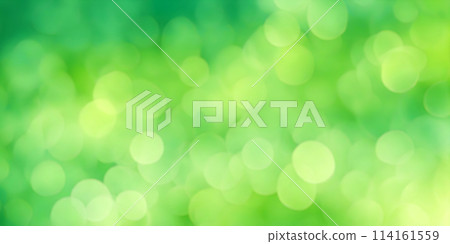 Sunny green foliage bokeh background Sunny green foliage bokeh background 114161559