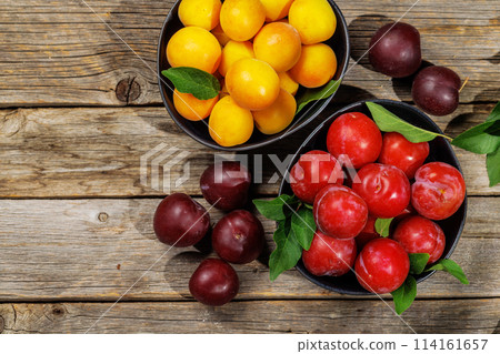 Colorful plums Colorful plums 114161657