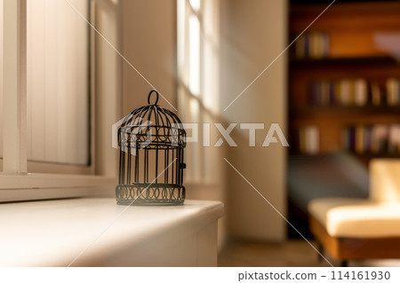 Bird cage on the window sill Bird cage on the window sill 114161930