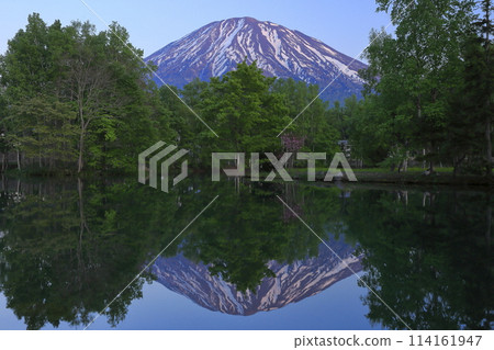 從北海道俱知安町富士見菅見池看到的神奇時刻的羊蹄山和新綠 114161947