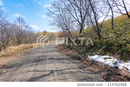 北海道寬闊的土路（碎石路） 114162066