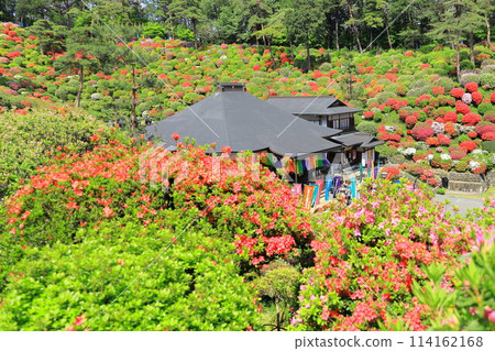 Ome City Shiofune Kannonji Temple Azalea Festival 114162168