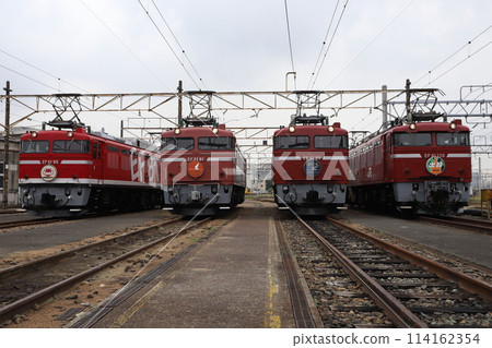 EF81 photo session 114162354