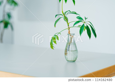 時尚裝潢男 時尚裝潢男 114162480