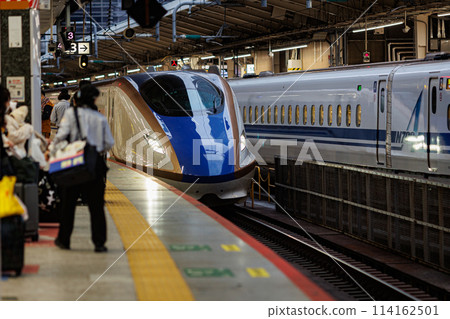 Hokuriku Shinkansen (E7 series) entering Tokyo Station 114162501