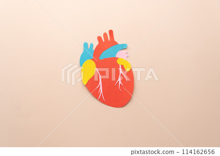 Human heart organ anatomy made from paper on beige background. Template for cardiology, world heart day and organ donation concept. Awareness of cardiovascular disease. 114162656