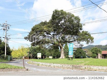 道之站矢久野環島(京都府福知山市) 道之站矢久野環島(京都府福知山市) 114162662