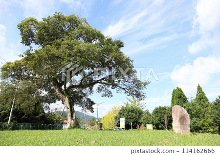 Yakuno Roadside Station Roundabout (Fukuchiyama City, Kyoto Prefecture) 114162666