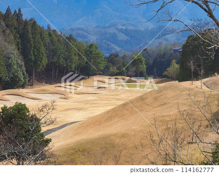 Golf course in winter with brown grass 114162777