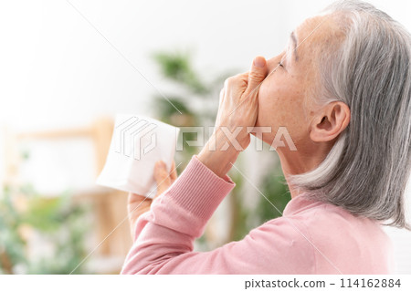 因過敏擤鼻涕的高級婦女 114162884