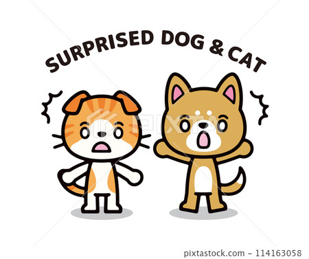 驚訝的狗和貓的簡單可愛的人物插圖 114163058