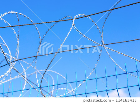 Barbed wire against the blue sky background Barbed wire against the blue sky background 114163415