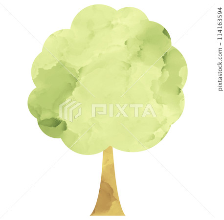 插畫素材樹木植物水彩手繪 插畫素材樹木植物水彩手繪 114163594