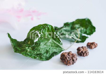 Dried silver vine leaves and fruit 114163614