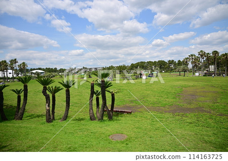 Scenery of Tsujido Seaside Park 114163725