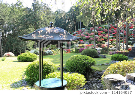A famous spot for azalea flowers: Yakuoji Temple, Ome City 114164057